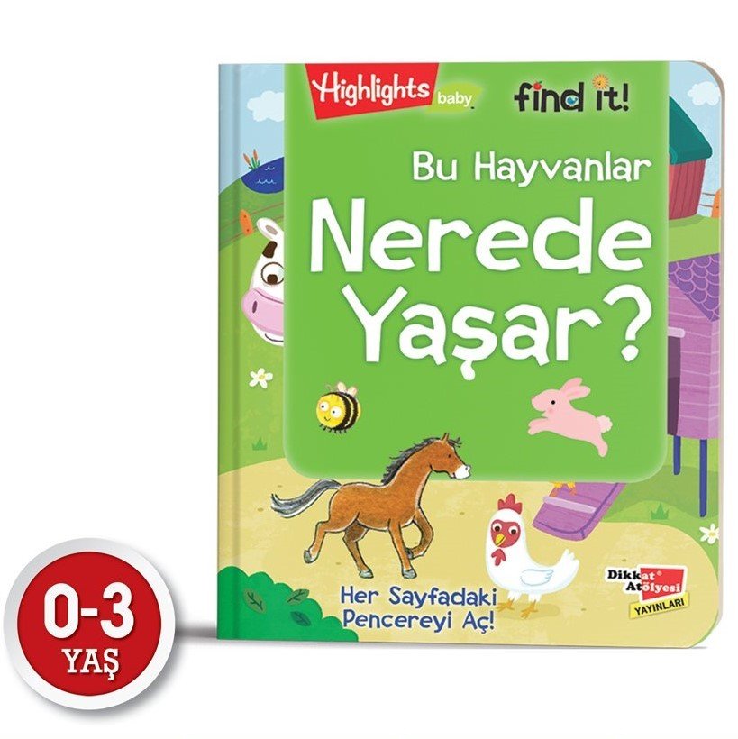 dikkat-atolyesi-findit-kitap-nerede-yasar